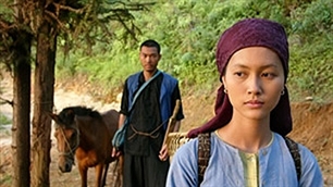 Vietnam attends Francophone film festival in France
